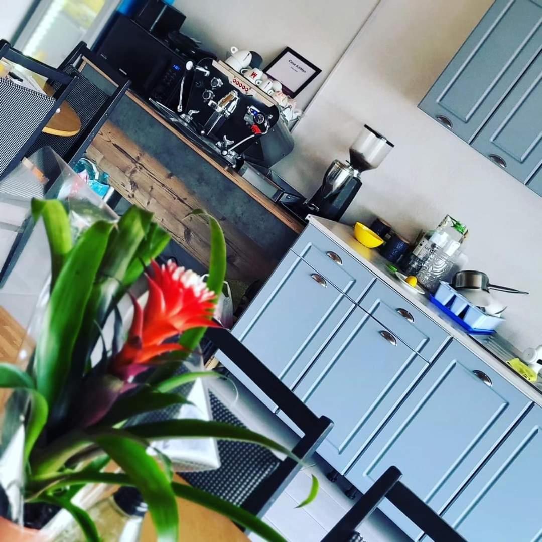 Casa Adiman Hotell Vama Veche Eksteriør bilde